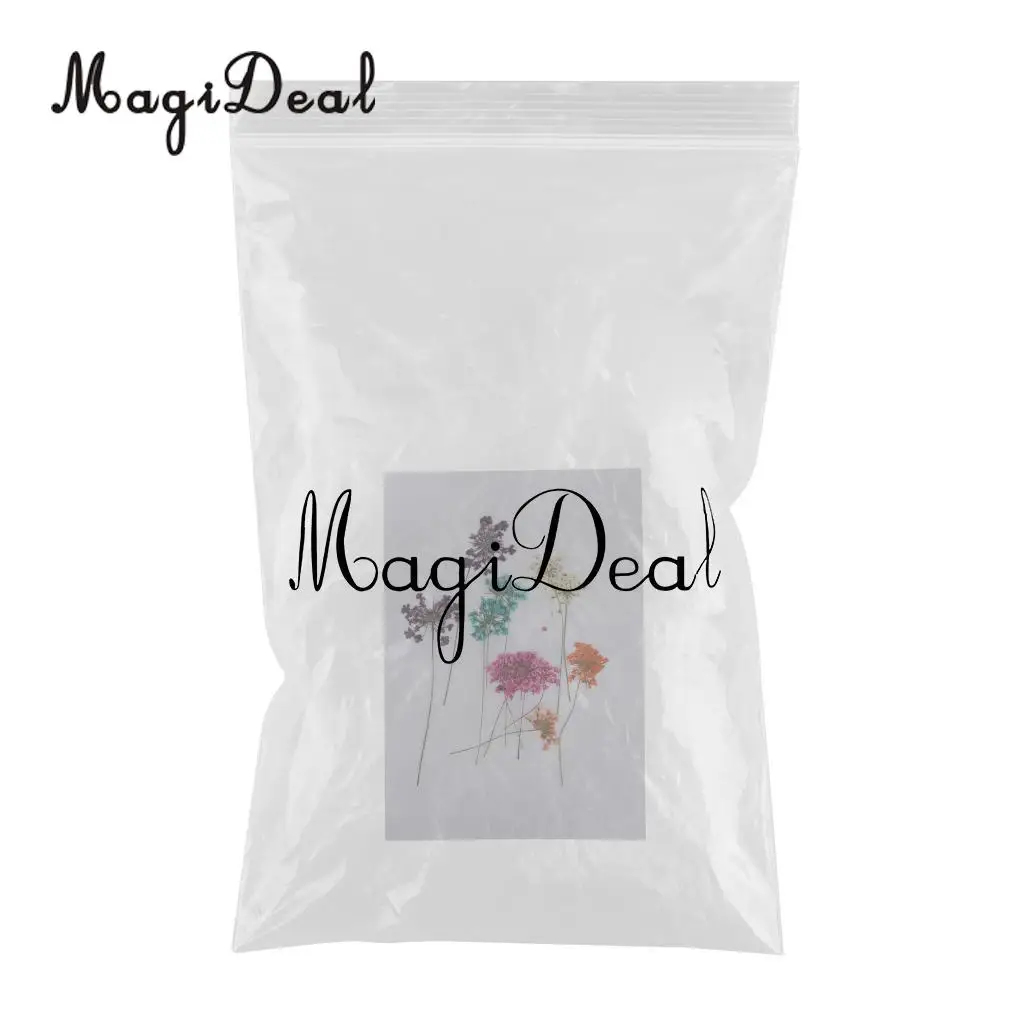 10pcs Mixed Size Real Pressed Dried Lace Flowers Embellishments DIY Card Making Jewelry Resin Crafts Scrapbooking Art Craft