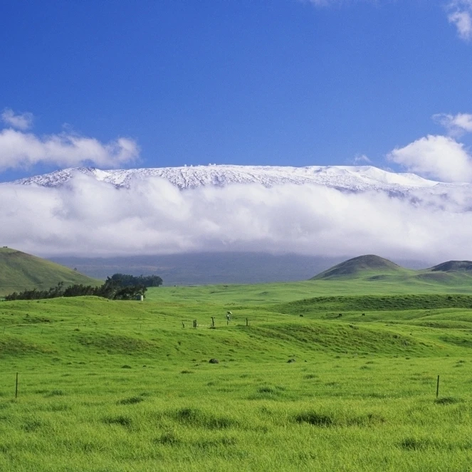 Hawaii  Big Island  Waimea  View Of Snowcapped Mauna Kea From Lush Rolling Hills Below. Poster Print (19 x 12)