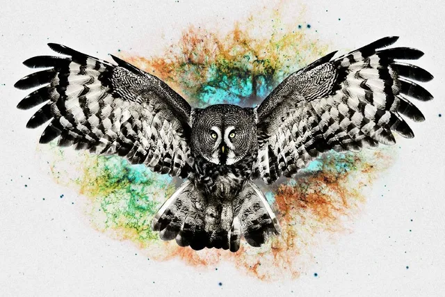 digital art owl flying animal poster silk fabric printing wall art