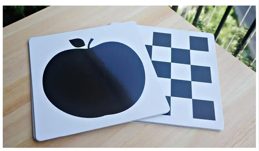 Preto e Branco para Pré-escolar Cartão Educacional Bebê Treinamento Visual Cartões Animais Frete Grátis 21x21 cm Mod. 207713 4 Educação & Ensino