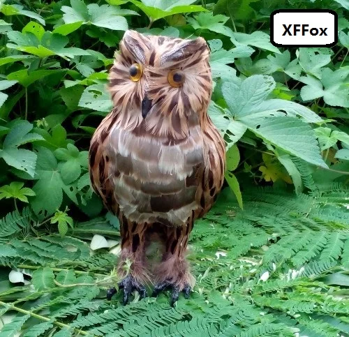 HTB1PtGHNFXXXXcAXFXXq6xXFXXXk