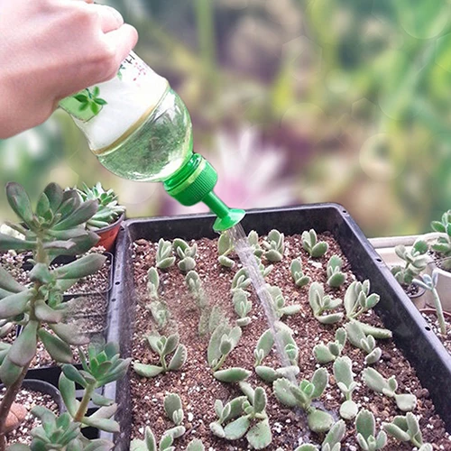 

5 Pcs Plant Watering Attachment Micro Flow Dripper Drip Head for Bottle Gardening
