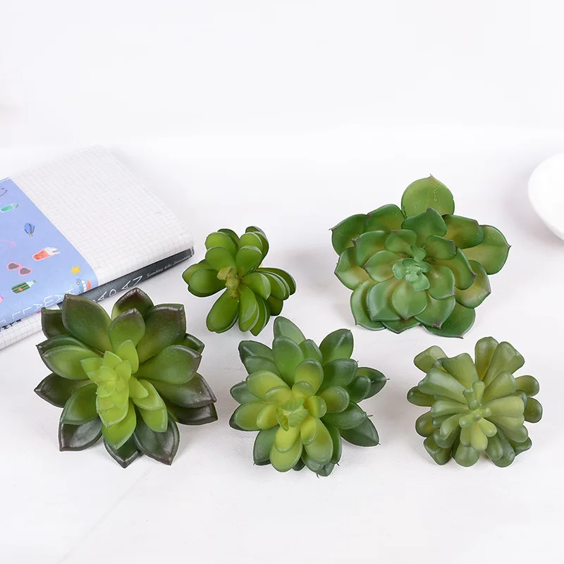 

Simulation of Single Succulent Plants Simulation of Succulent Flower Heads Living Room Decoration Plant Arrangement Props