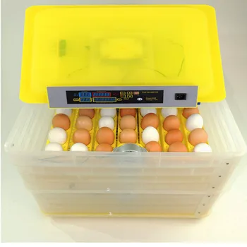 (El barco de la UE) 112 Incubadora de huevos automático huevo en huevo gallina Incubadora aves de corral Hatcher
