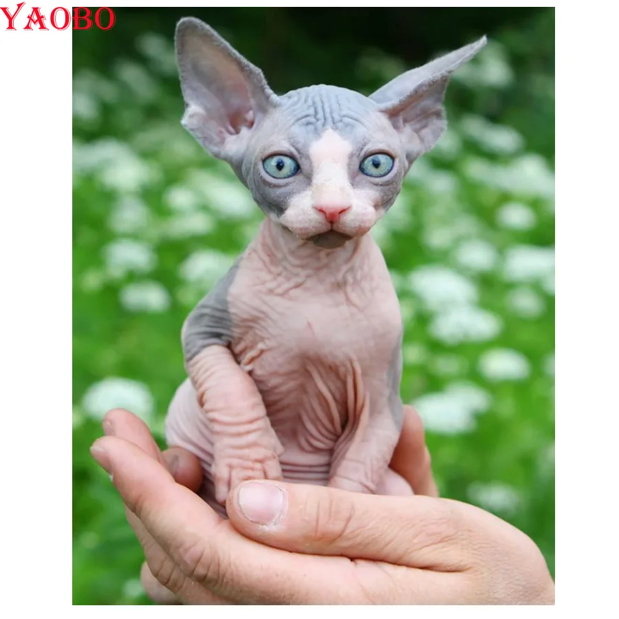 3d Diy Алмазная картина животное Сфинкс Кошка мозаика ДРЕЛЬ смола полная