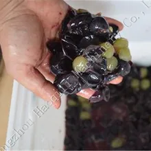 Самая популярная дробилка для винограда, машина для производства сока, пресс для винограда