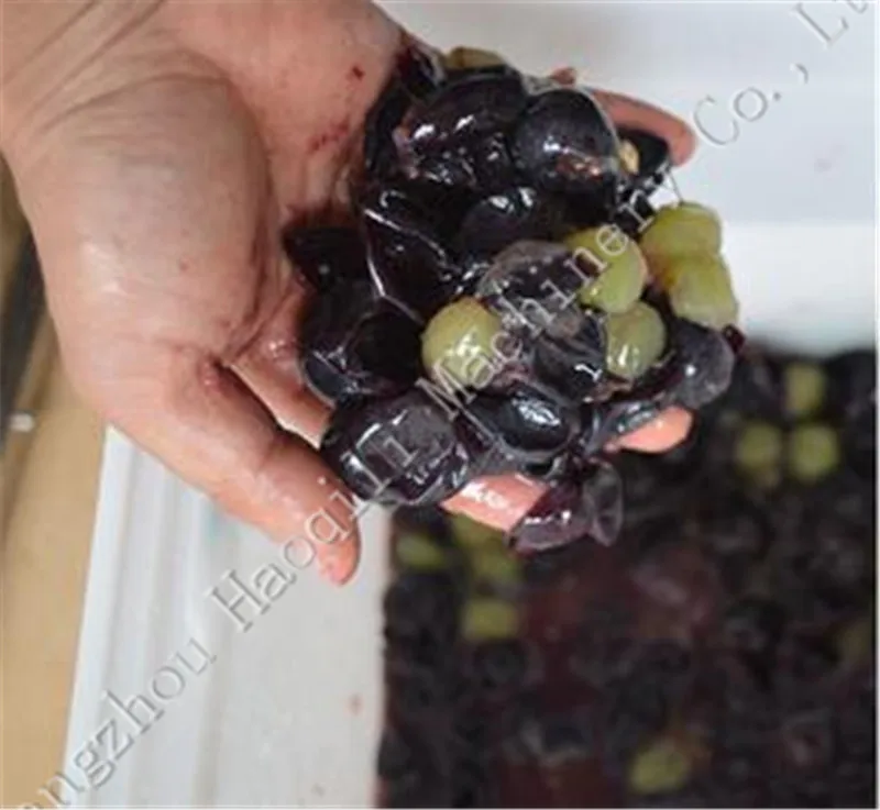 

The Most Popular grape crusher juice making machine grape press machine