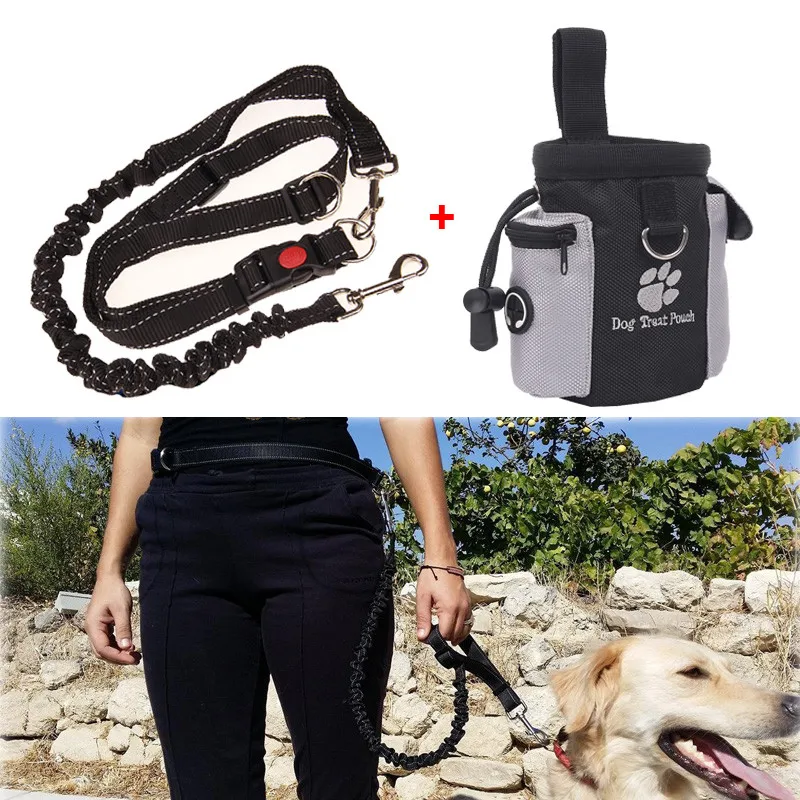 

Elastic Dog Leash Nylon Adjustable Waist Belt Safety with Dog Obedience Agility Training Treat Bag Pet Training Supplies