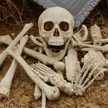 Behogar-12 Uds. De esqueleto humano de resina Artificial, calavera de hueso roto para el hogar embrujado, accesorios de decoración para fiesta de Halloween