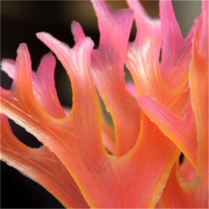 WDD60309291_2016030904315491