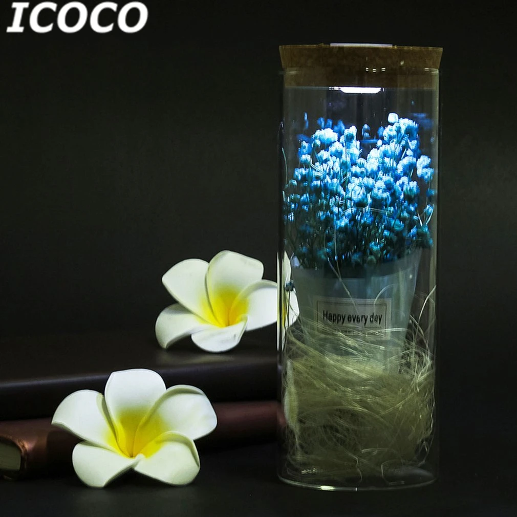 

ICOCO Romantic LED Light Dried Flower Ornament Micro Landscape Terrarium Seal Flowers Vase Home Decoration Decor Gift Drop Ship