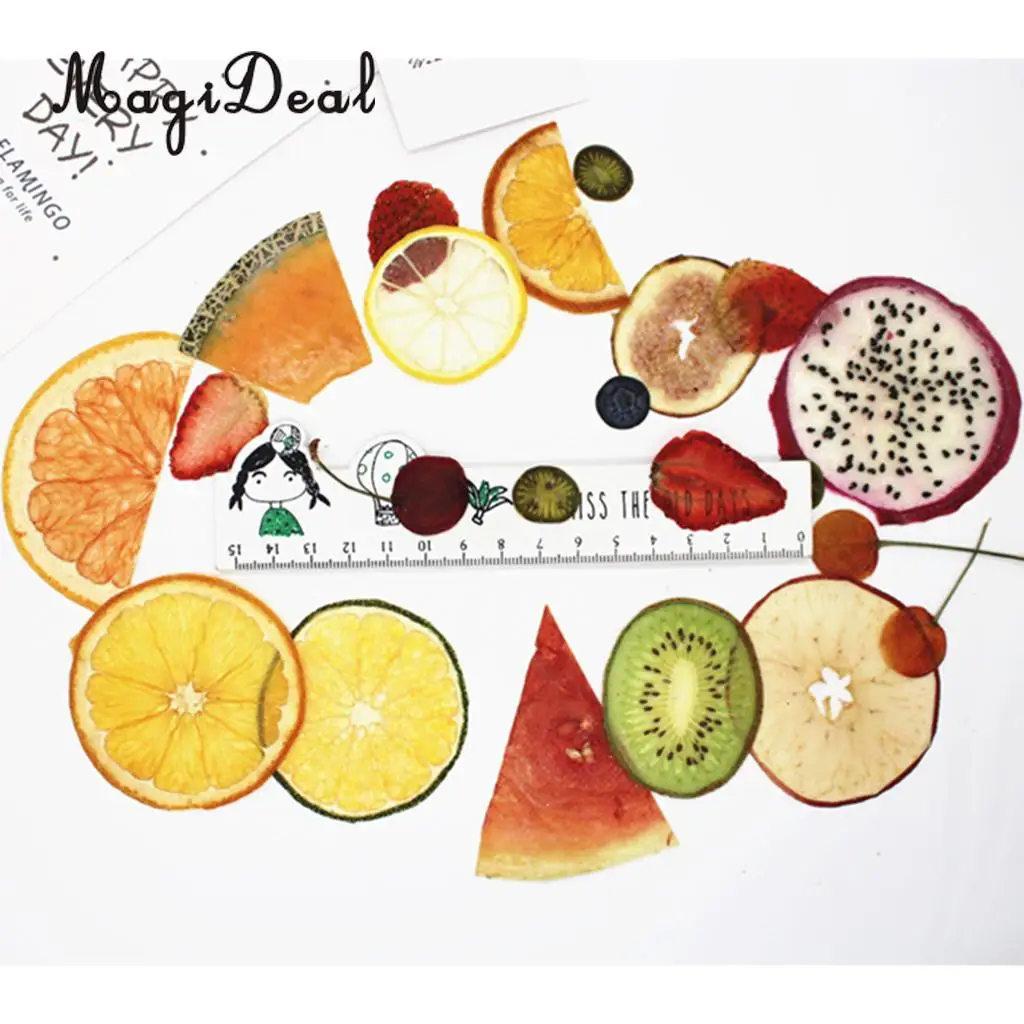 6Pcs Mix Dried Pressed Fruits Slices Plant Herbarium For Epoxy Resin Jewelry Making Phone Case Craft DIY Scrapbooking Decoration