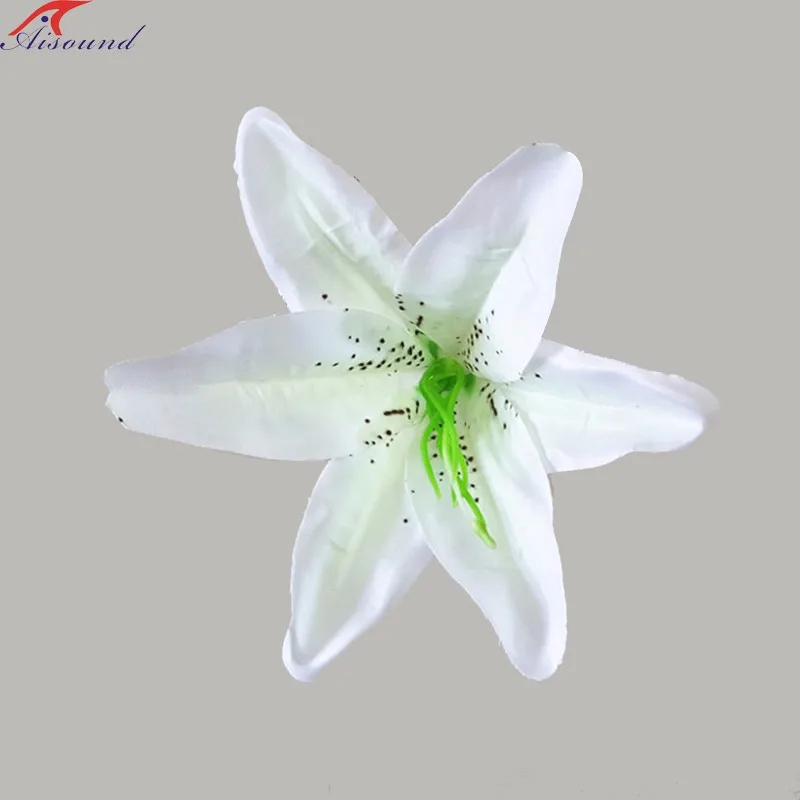 Ivory lily