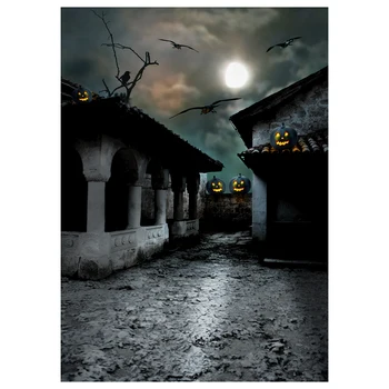 

Vinyl Photography Background Photo Backdrops Magic Theme Horror night abandoned retro tile house, pumpkin lights, branches, cr