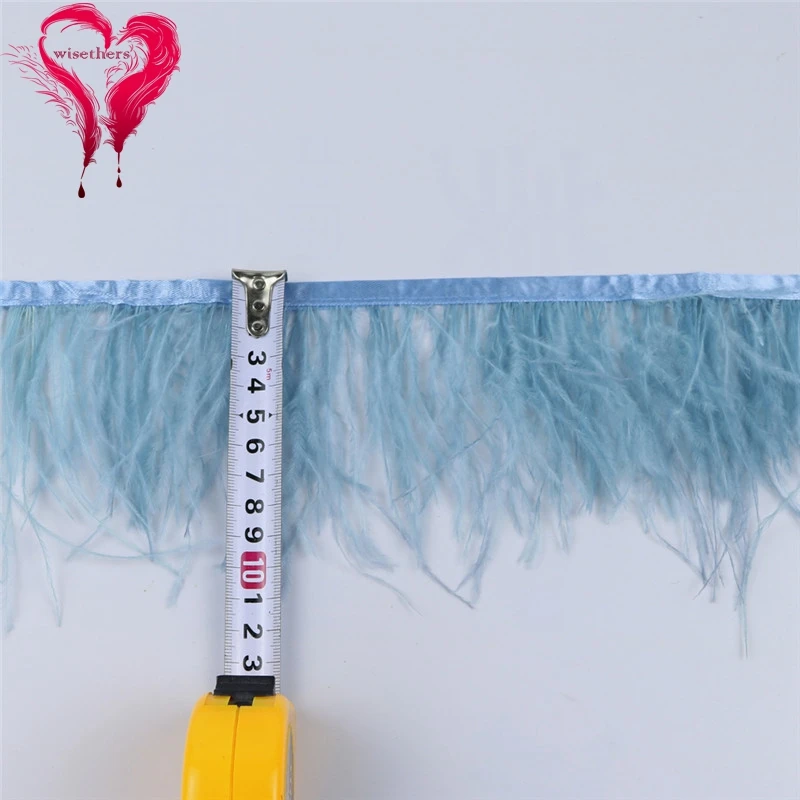 O27 8-10cm ostrich feather trims 6
