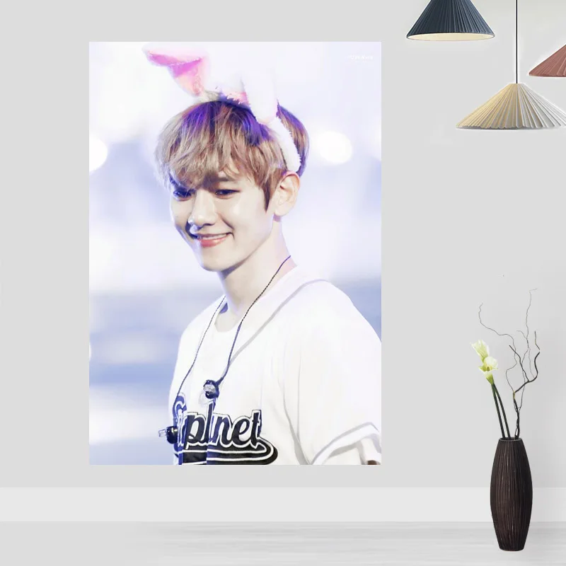 Modern Picture BAEK HYUN Poster Paintings For Living Room Wall Art Silk Fabric Cloth Decoration Children Gift | Дом и сад