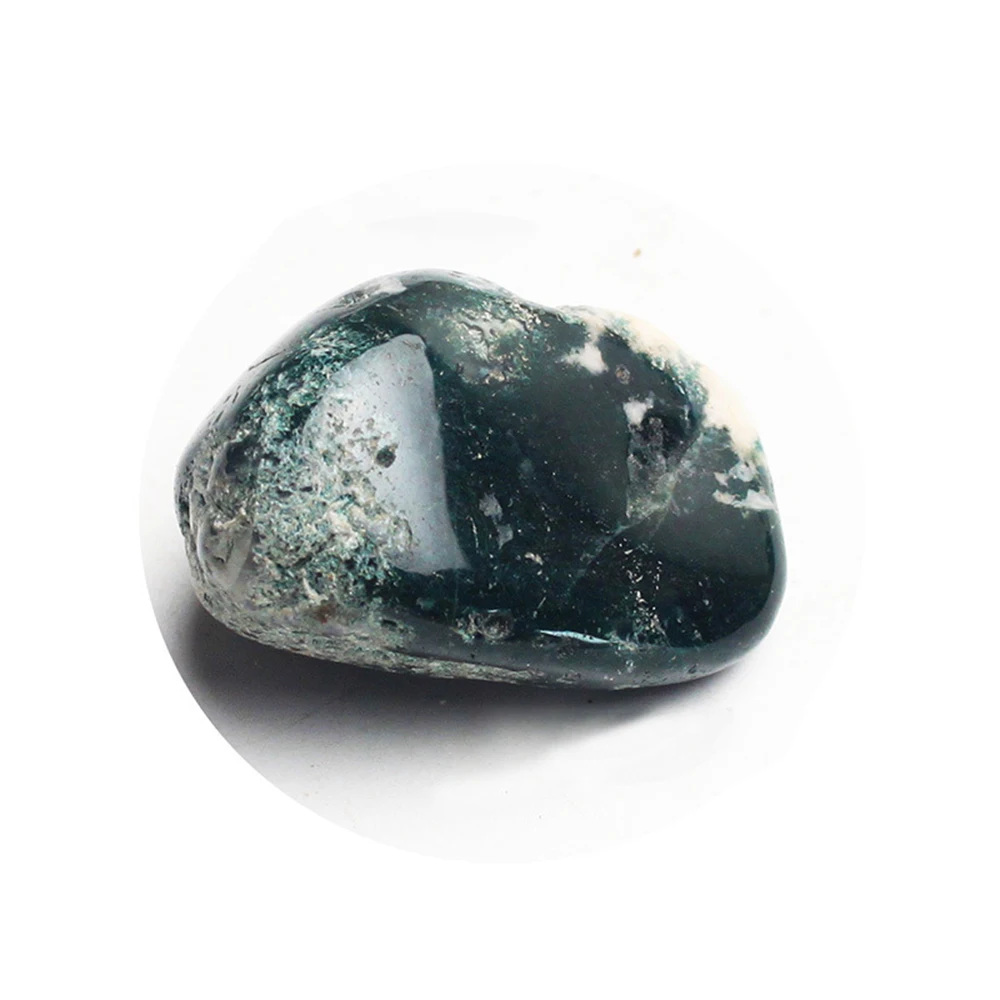 7768822451_1674512829