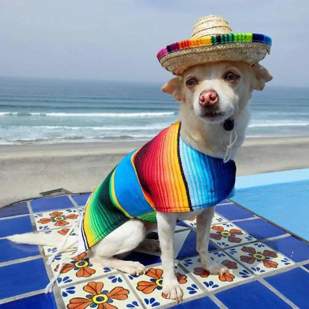 Милый мини щенок собака кошка соломенная тканая шляпа от солнца крышка мексиканский сомбреро товары для животных милый