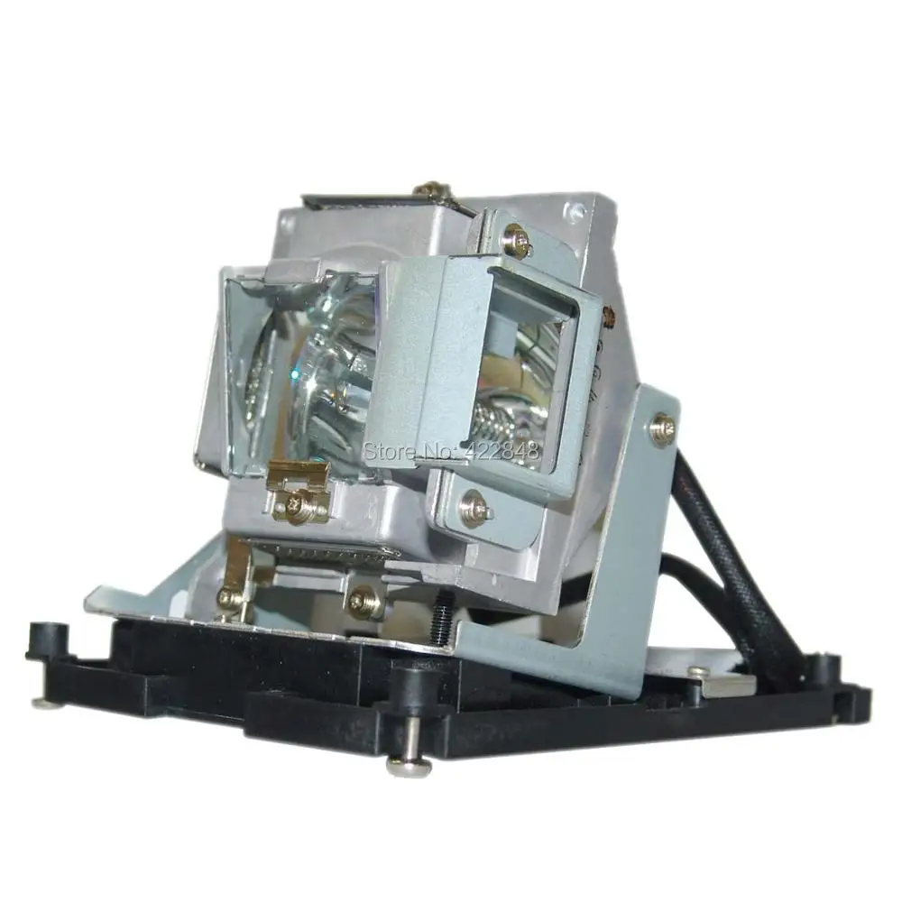 BL-FS300C lamp  (3)