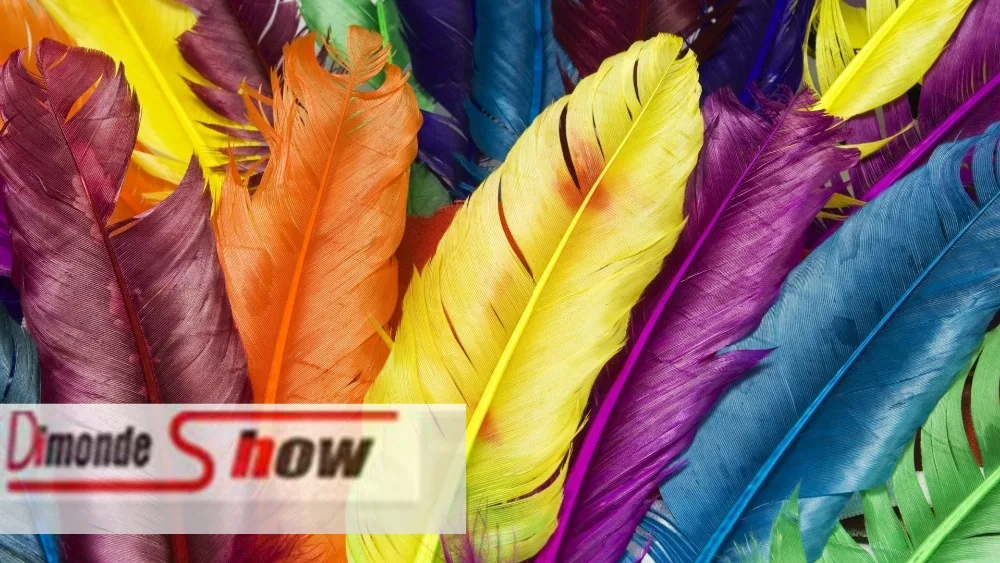 

DIY 5D Diamond Painting Kit, square Diamond Colorful feather Embroidery Rhinestone Cross Stitch Art Craft Supply Home Wall Decor