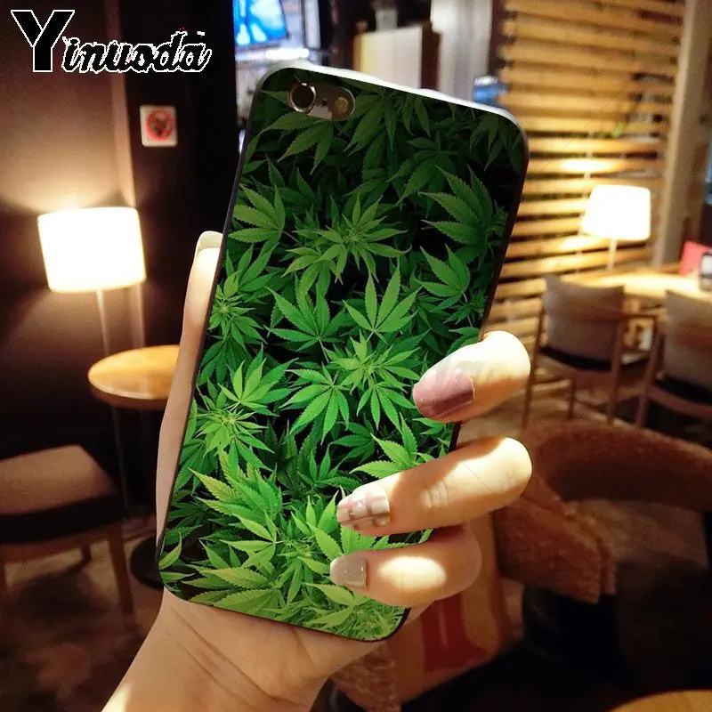 weed plant leaves Cannabis leaf
