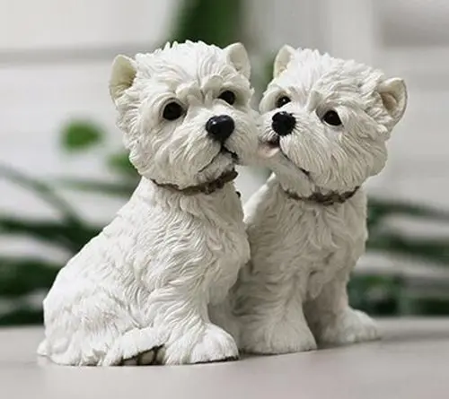 West Highland White Terrier dog couple 3