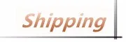 shipping