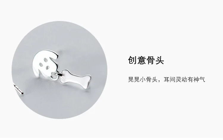 8573989669_823318017