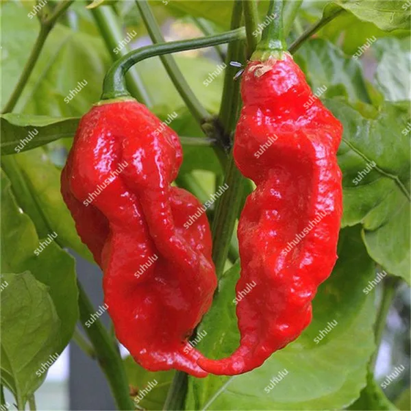 a (87)