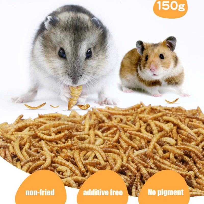 600ML Mealworm Dried Aquarium Tank Pond Fish Reptile Wild Bird Food