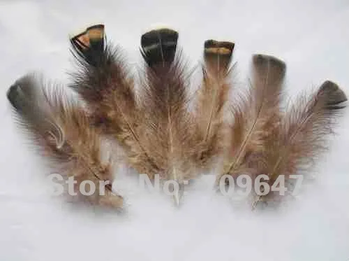 Plumas para manualidades! 50 шт./лот 10-15 см Натуральная бронза турецкие т базовые перья для