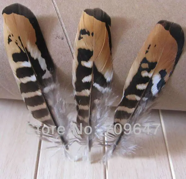 100Pcs/Lot 10 14cm Nature Brown&Yellow REEVES VENERY PHEASANT WINGS