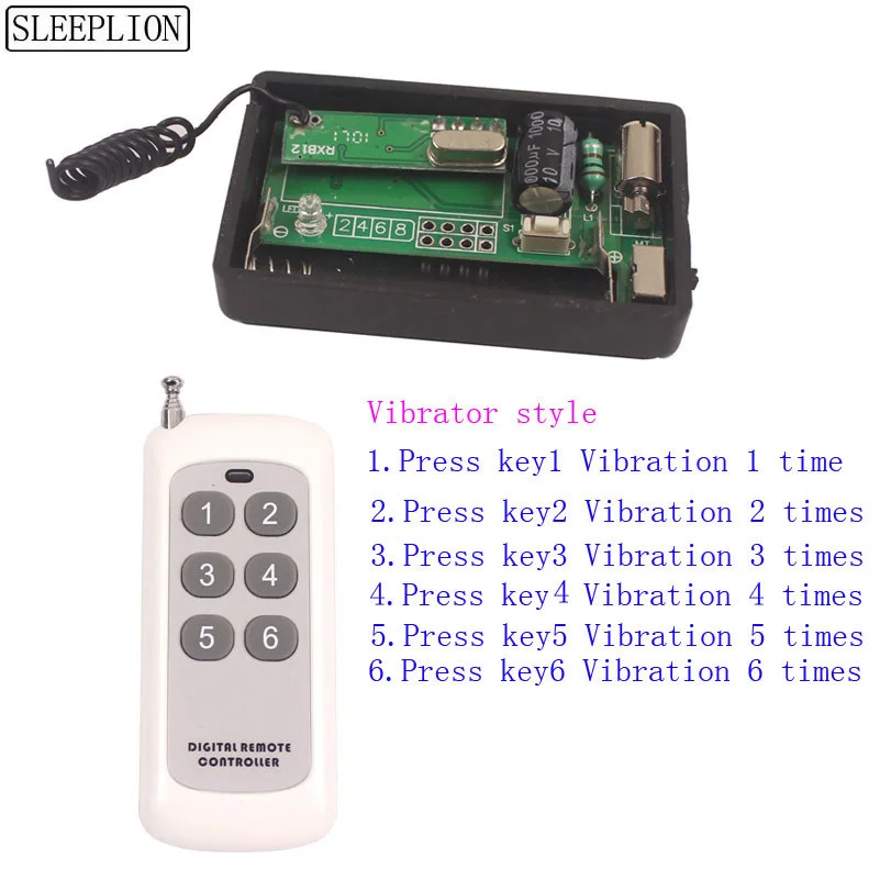 Universal Wireless Remote Control Vibrating 1-6 Times Vibrations Remote Control Alarm Sensor Remote Reminder Kit (1)