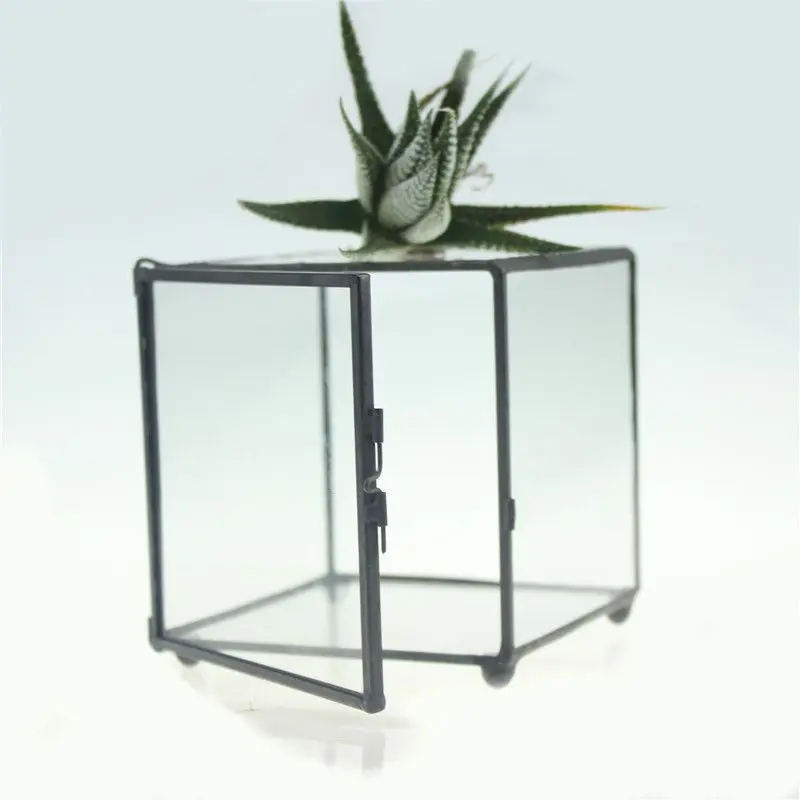 

Modern Handmade Tabletop DIY Square Glass Geometric Terrarium Succulent Fern Moss Plant Terrarium Box Display Planter Flower Pot