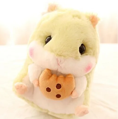 cookie