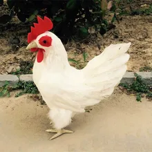 1:1 реалистичный муляж курицы/белая курица ручной работы ремесло 25*16*35 см