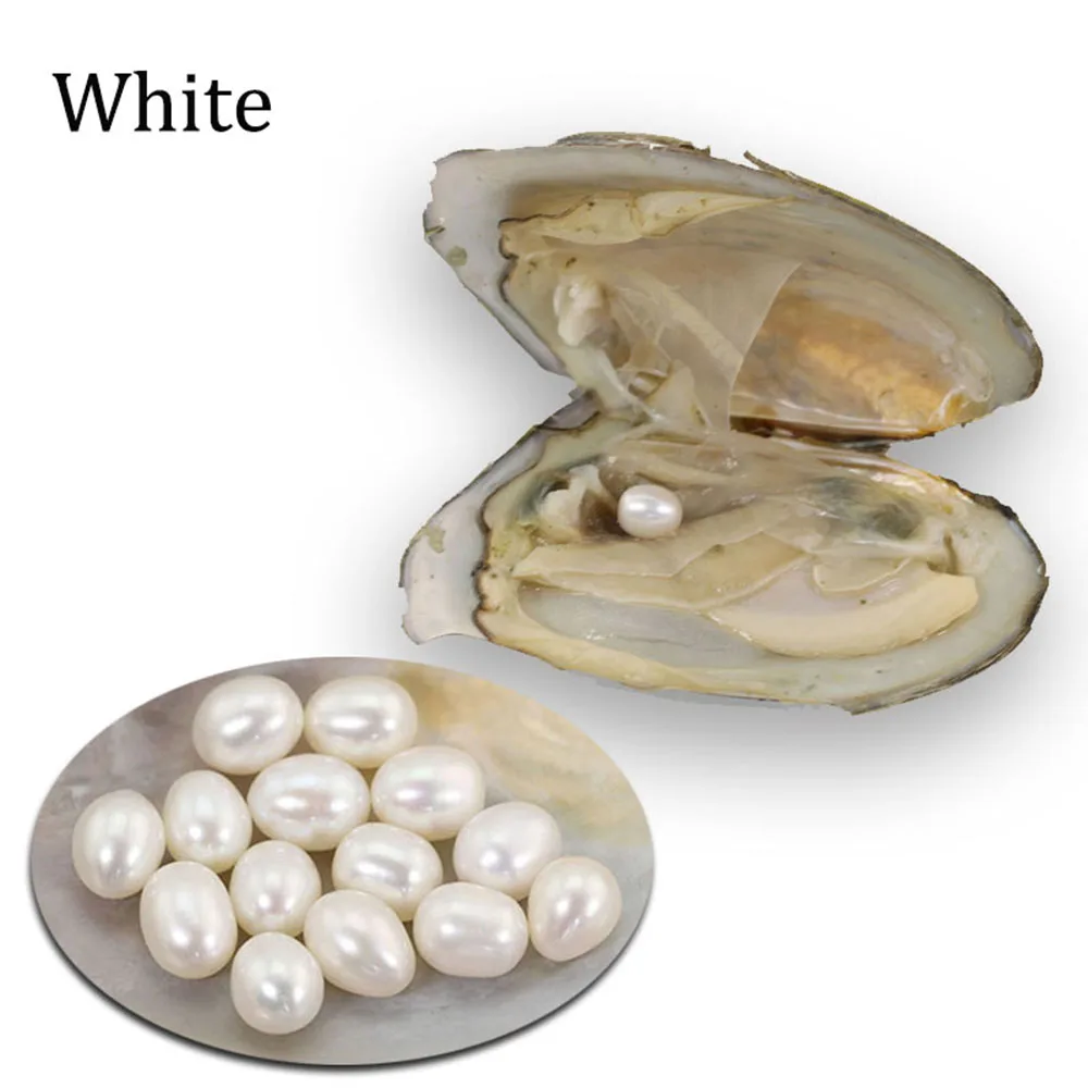 10pcs White Natural Rice Pearls in Oyster 6 7mm Wholesale Love Wish