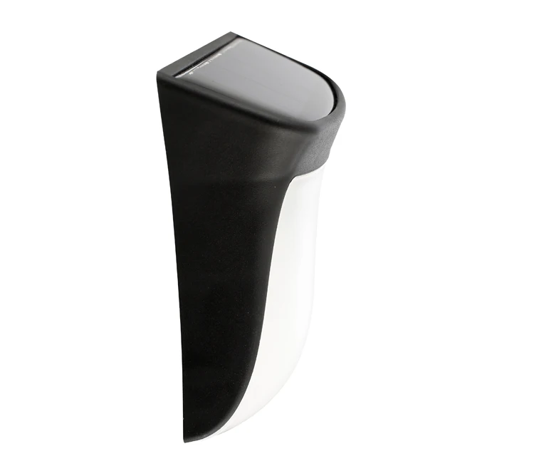 _P2A4438-