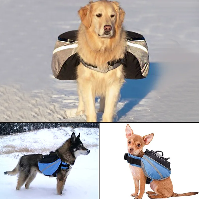 k9 backpack dog