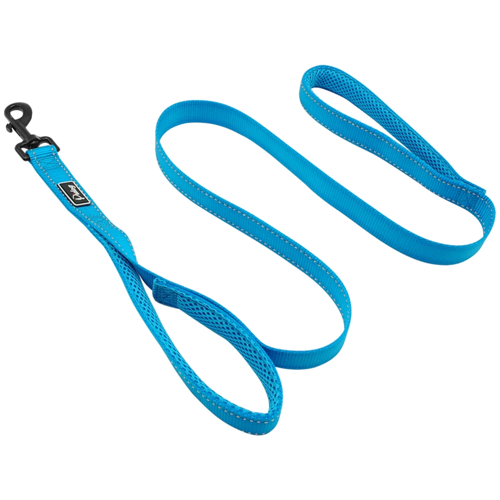 BJL29  BLUE02