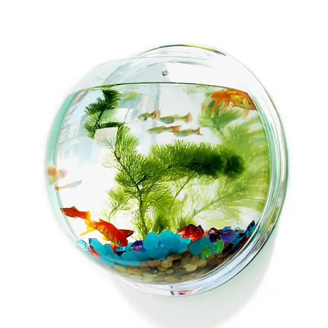 Acrylic Fish Bowl Clear Aquarium Fish Tank Large Wall Mounted