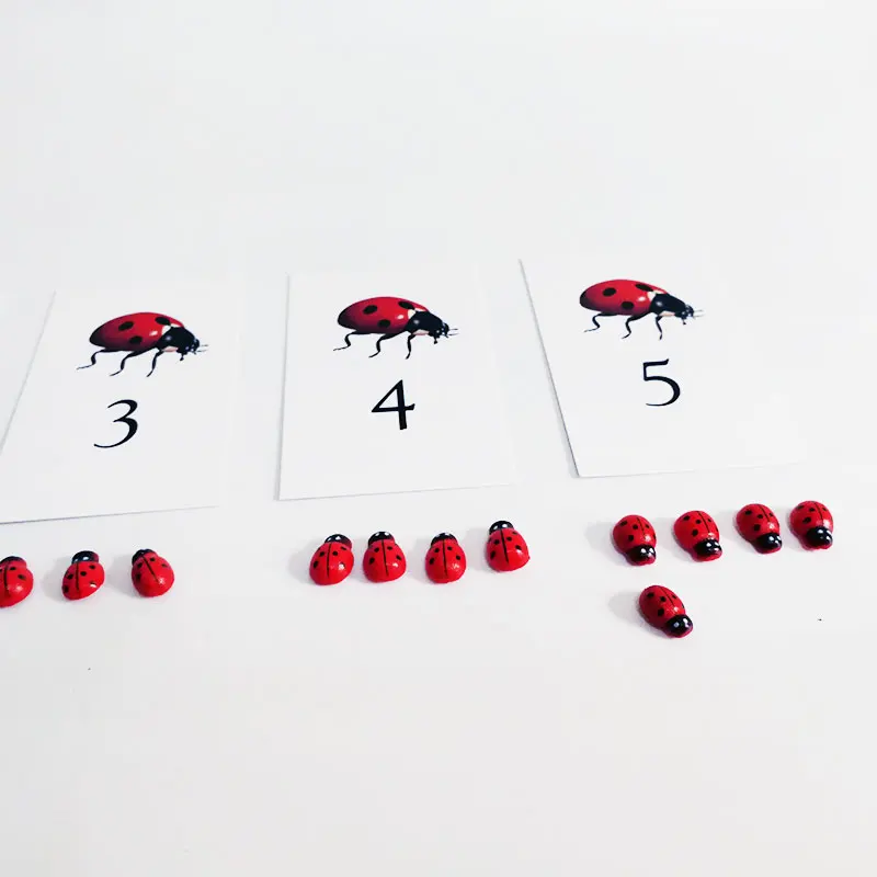 Montessori Math Material Montessori Ladybug Number Activity Cards Set Educational Learning Toys for Toddlers MJ1044H