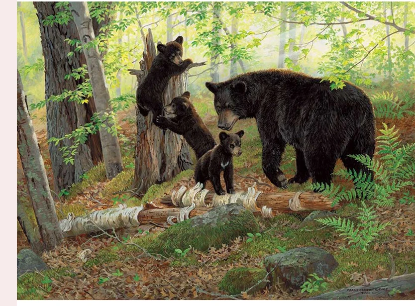 HTB108mfaDMG5uJjSZFAq6zmspXa4