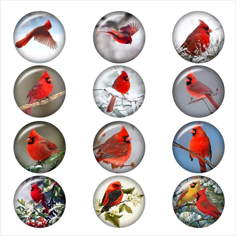 

50PCS Mixed Cardinal Christmas Bird Pattern Snap Button Round Photo Glass Snap Button Jewelry