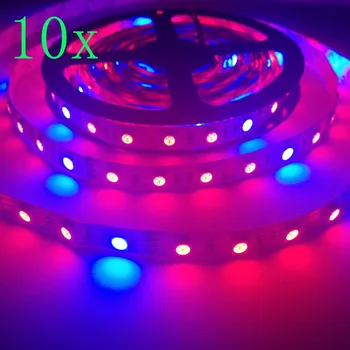 

FREE DHL 50m/lot 5050 Grow LED Flexible Strip Red Blue 4:1 For Aquarium Greenhouse Hydroponic Flowers Veg Plant Grow Light