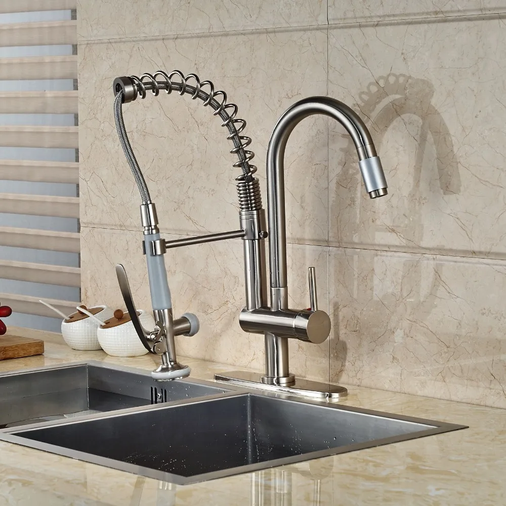 Spring Style Kitchen Faucet 2 Spout Hand Shower Mixer with Cover Plate