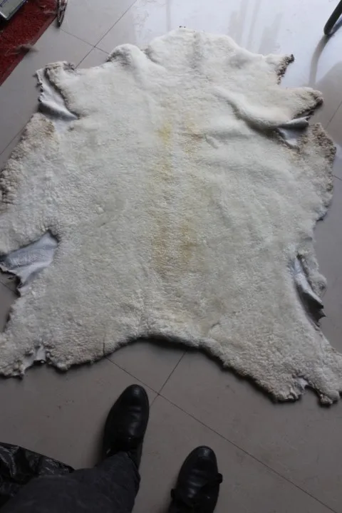 Australian raw sheep fur skin real sheep fur pelt sheared Sheepskin (9)
