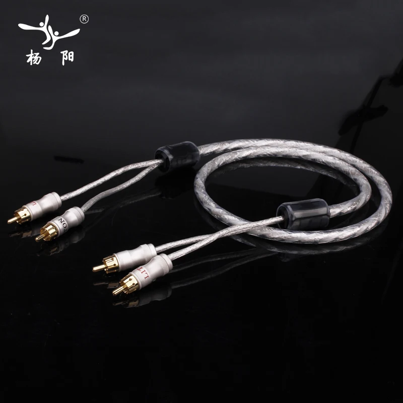 Посеребренное двойное кольцо фильтр YYAUDIO Liton линия аудиосигнала штекер RCA