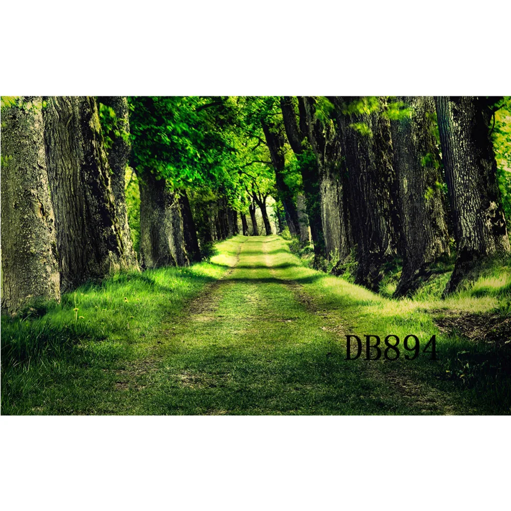 Фото На Фон 18