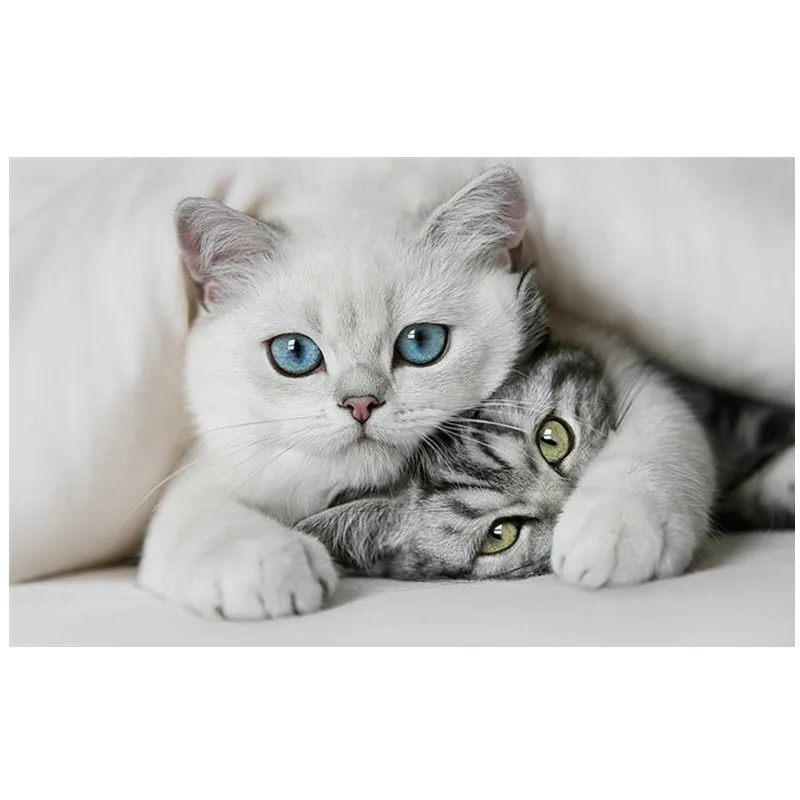 

Shirliben Diamond Embroidery Cute Cat Picture of Rhinestone Diamond Painting Cross Stitch Full Square Diamond Mosaic Home Decor